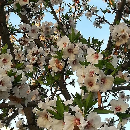 Areiasmar Apartment Albufeira